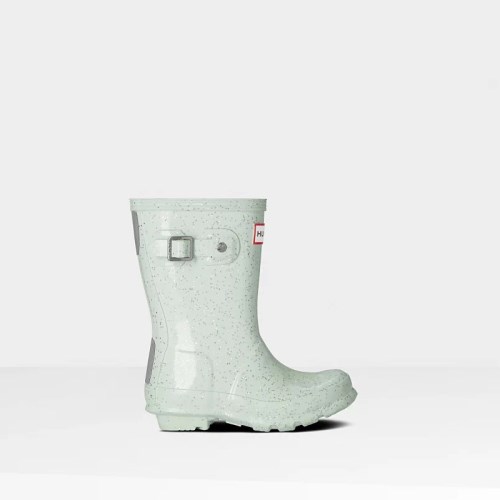 Hunter Original Giant Glitter Wellies (G430H) Ireland